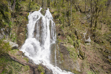 Similar image 22775003