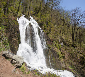 Similar image 22774985