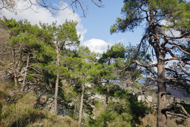 Similar image 22774993