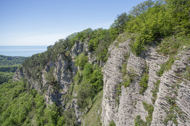 Similar image 22774995