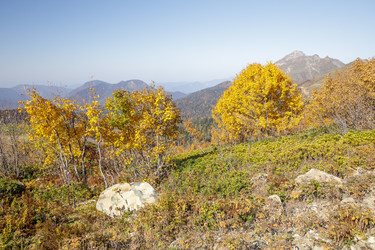 Similar image 22774998
