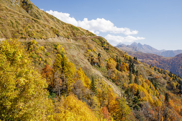 Similar image 22775001