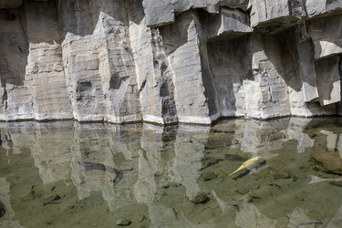 Similar image 22772115
