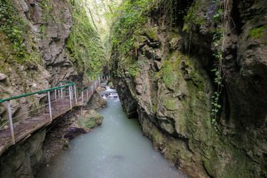 Similar image 22772149