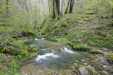 Similar image 22772154