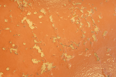 Similar image 22772549