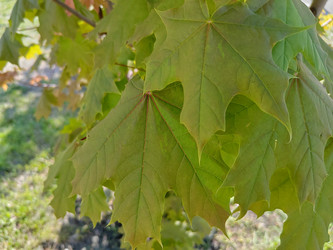 Similar image 22772686