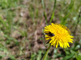 Similar image 22772717