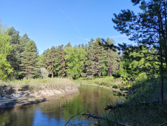 Similar image 22772718