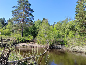 Similar image 22772637