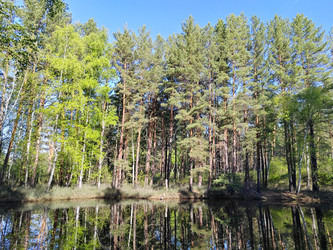 Similar image 22772644