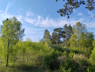 Similar image 22772652