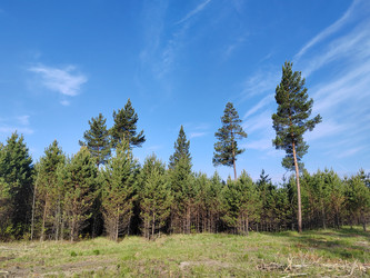 Similar image 22772658
