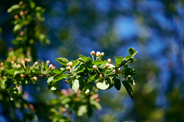 Similar image 22773158