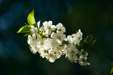 Similar image 22773165