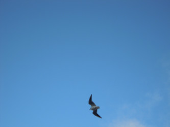 Similar image 22770434