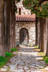 Similar image 22771141