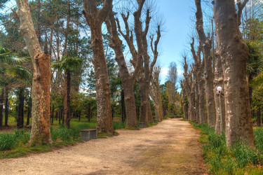 Similar image 22771218