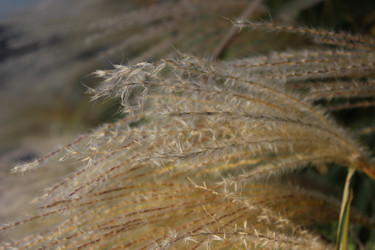 Similar image 22770453