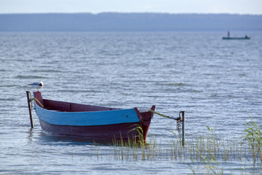 Similar image 22770783