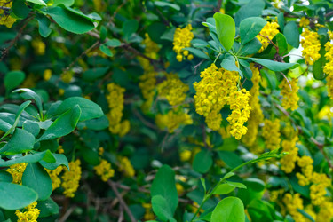 Similar image 22771545