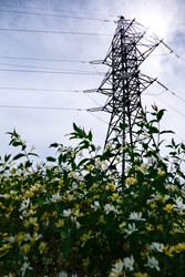 Similar image 22771546