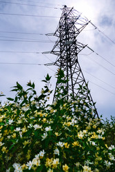 Similar image 22771547