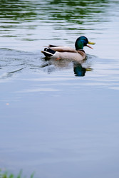 Similar image 22771575