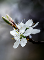 Similar image 22782335