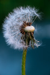 Similar image 22775019