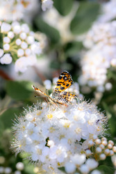 Similar image 22775032