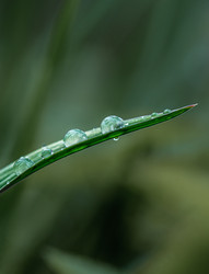 Similar image 22775033