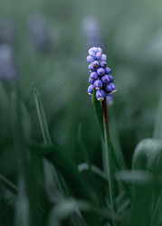 Similar image 22775040