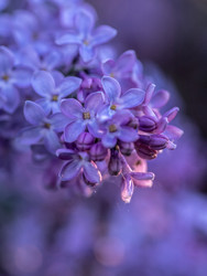Similar image 22775041