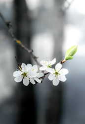 Similar image 22775044