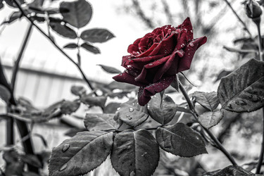 Similar image 22784844