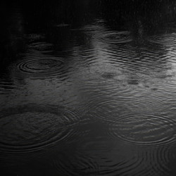 Similar image 22782940