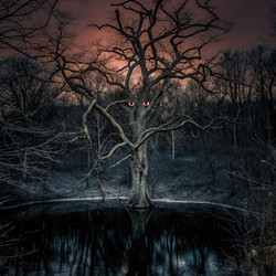 Similar image 22784031