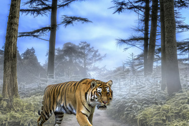 Similar image 22784260