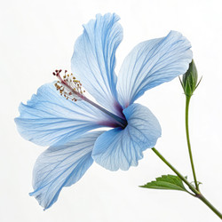 Similar image 22784383