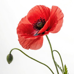 Similar image 22784757