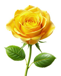 Similar image 22784037