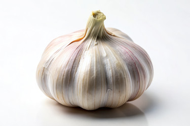Similar image 22784683