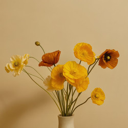Similar image 22782934