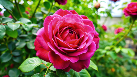 Similar image 22783627