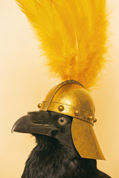 Similar image 22775528