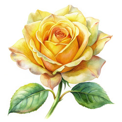 Similar image 22783449