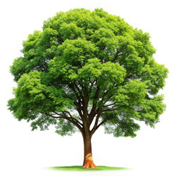 Similar image 22783523