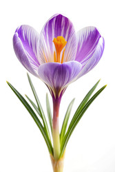 Similar image 22778352