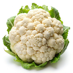 Similar image 22783433